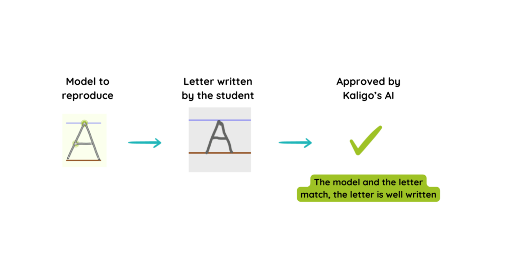 Kaligo's AI - Correct